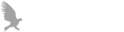 Hawke Media