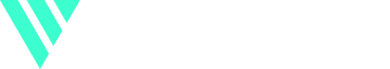 Videowise logo-1